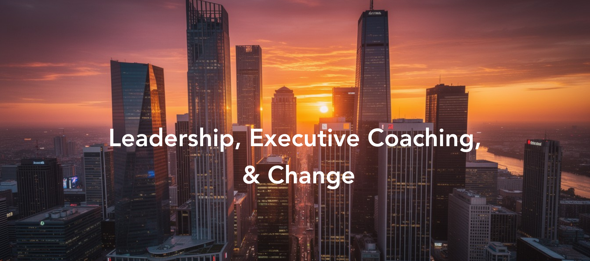 Leadership, Executive Coaching, & Change (3)